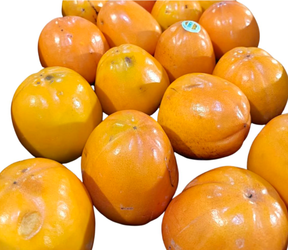 Persymona